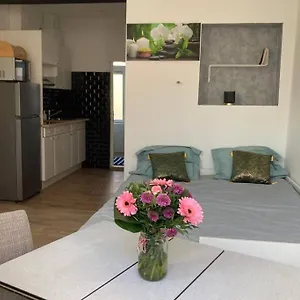 https://magnifique-studio-a-proximite-de-la-gare-de-midi-brussels.brusselshotelsbook.com