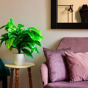 Apartment The Tropical House, Tirana